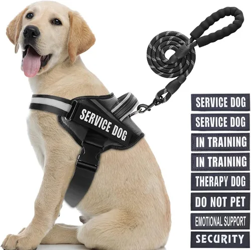 Miniatura 49 de Juego de arnés y correa para perro de servicio, arnés de entrenamiento para perro Animire con 10 parches para perros, correa reflectante para perro
