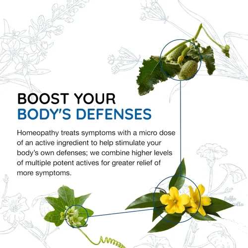 Miniatura 4 de MediNatura BodyAnew Cleanse/Detox – Gotas de limpieza que apoyan 5 órganos para la purificación corporal – 5 oz