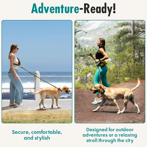 Miniatura 8 de Correa de perro manos libres con bolsa de golosinas para perros, correa de cintura elegante y moderna para pasear al perro, para llevar