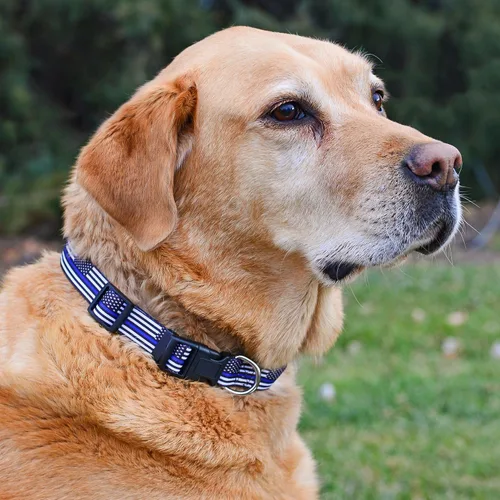 Miniatura 2 de Native Pup Collar de perro con bandera de línea azul delgada (pequeño)