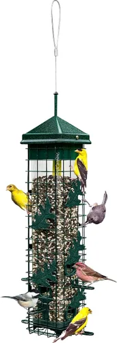 Miniatura 2 de Squirrel Solution200 Alimentador para pájaros a prueba de ardillas con 6 puertos de alimentación, capacidad de semillas de 3.4 libras, embudo
