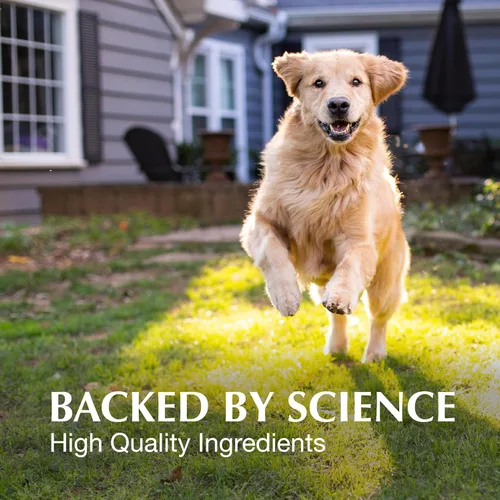 Miniatura 5 de Nutramax Laboratories Crananidin Extracto de Arándano Suplemento para la Salud del Tracto Urinario para Perros, 75 Tabletas masticables