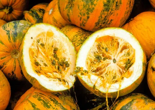 Miniatura 5 de TomorrowSeeds - Semillas de calabaza Kakai Hulless - Más de 20 unidades - para plantar Hulless Naked Dark Green Orange Black Stripe Oleaginosas