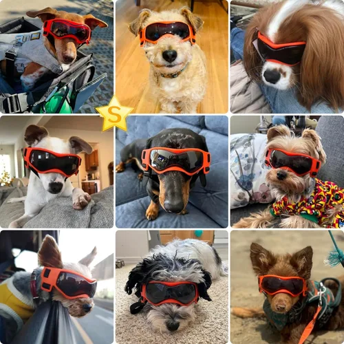 Miniatura 2 de Gafas de sol para perros de razas pequeñas, lentes de sol para perros con protección UV, para cachorros para mascotas pequeñas al aire libre, Naranja