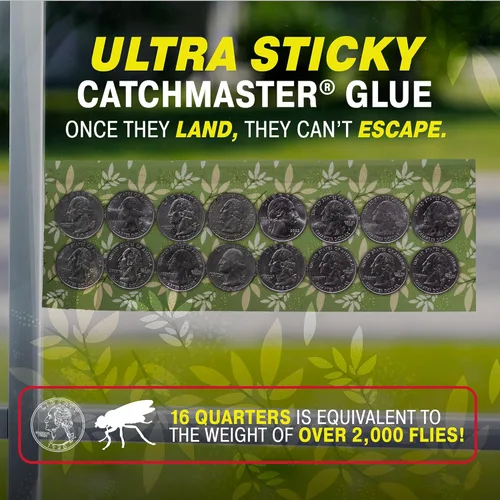 Miniatura 3 de Catchmaster Trampas decorativas para moscas de ventana, paquete de 12, tiras de mosquitos y moscas de la fruta para interiores, atrapa insectos