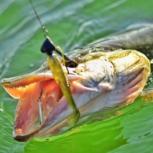 Miniatura 4 de 10 unidades/caja (2 modelos mezclados) jig heads Swimbait anzuelos de pesca, gusanos Senko suave cebo con anzuelos con peso de plomo/cuchillas