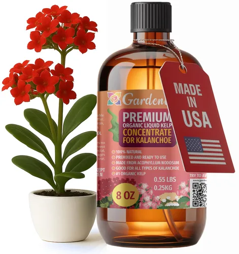 Miniatura 23 de GARDENERA Superalimento orgánico prémium de algas marinas y algas marinas para plantas AGLAONEMA, 8 onzas, concentrado de fertilizante líquido