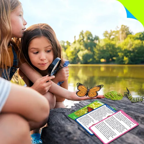 Miniatura 7 de 15 tarjetas de mariposa con 4 figuras de plástico, tarjetas de introducción de mariposas, insectos, huevo a mariposa, kit de juguete para niños