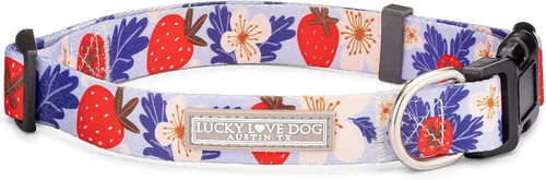 Miniatura 19 de Lucky Love Dog - Collar para perras pequeñas, diseño Blackbird de estampado alegre con flores de primavera y verano, talla XS