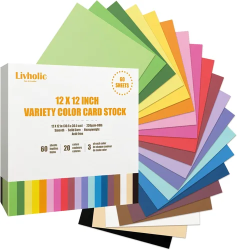 Livholic 60 hojas de cartulina de colores 250 gsm 80 lb 12 x 12 20 colores surtidos, cartulina de colores para Cricut, papel para hacer tarjetas,