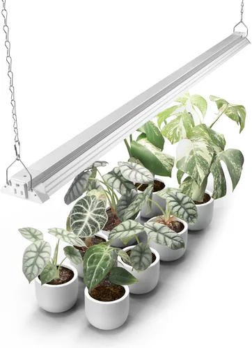 Miniatura 11 de Barrina TX-S60 - Luz de cultivo de 4 pies, 60W (equivalente a 420W), espectro completo con LEDs rojos de 660nm, PPFD alto, enlazable, luces