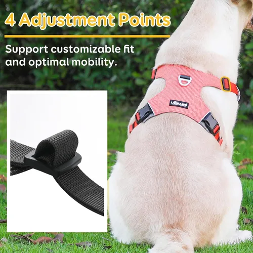 Miniatura 2 de LIOPARD Arnés para perro, arnés para mascotas fácil de caminar sin tirones, con 2 clips para correa, chaleco reflectante suave acolchado ajustable