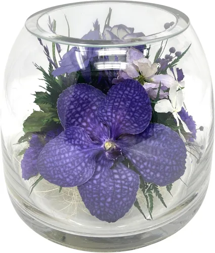 Miniatura 11 de Fiora Flower - Elegante arreglo de orquídeas en jarrón de vidrio Orquídeas reales preservadas que duran 5 años Ideal para decoración del hogar