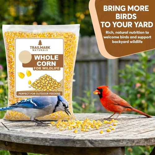 Miniatura 2 de Maíz entero de 10 libras - Semillas de aves y alimento para vida silvestre premium para patos, ciervos, ardillas, pollos y pavos - Maíz entero