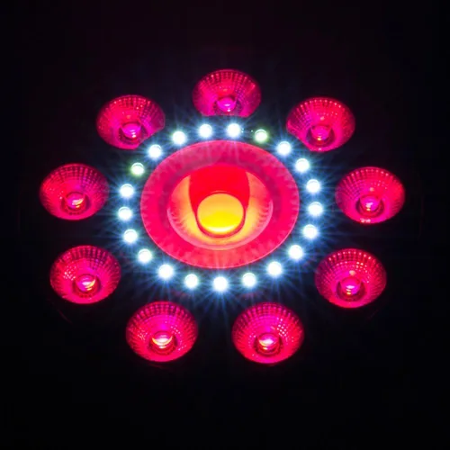 Miniatura 5 de CHAUVET DJ, NEGRO (FXPAR9)