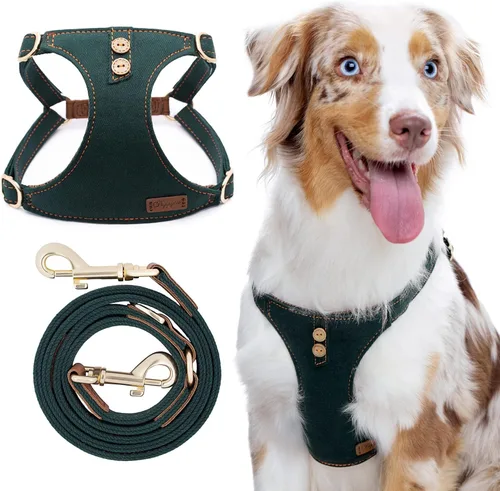 Miniatura 14 de Arnés para Perro, Arnés Sin Tirones para Perros y Conjunto de Correa Multifunción para Perros Medianos Caminata Fácil Diaria Chaleco Arnés