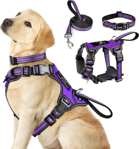 Miniatura 23 de WINSEE - Juego de arnés, collar y correa para mascotas, todo en uno, arnés reflectante para perros sin tirones con hebillas ajustables para Rojo