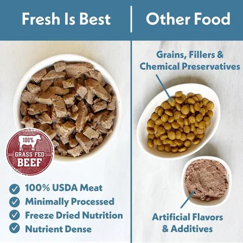 Miniatura 3 de Fresh Is Best Alimento liofilizado de carne de res para gatos, alimento crudo para gatos y felinos adultos, carne de res liofilizada con alto