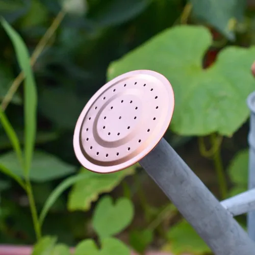 Miniatura 5 de Recipiente para regar plantas de interior y exterior, galvanizada, estilo moderno con asa y rosetón zinc