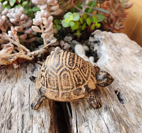 Miniatura 4 de Ocultar una llave fuera - Ocultador de llaves de repuesto - Ocultador de llaves para exteriores, caja de llaves de estatuas de tortuga de jardín