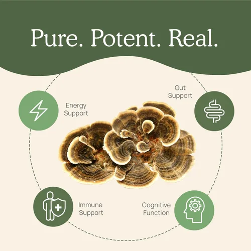 Miniatura 5 de Real Mushrooms Polvo de seta cola de pavo – Extracto de seta orgánico para el bienestar diario, armonía intestinal y apoyo energético con beta