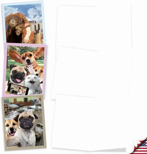 Miniatura 2 de The Best Card Company - Tarjetas de animales en blanco en caja, 4 x 5.12 pulgadas, mascotas surtidas, zoológico, tarjetas de vida silvestre