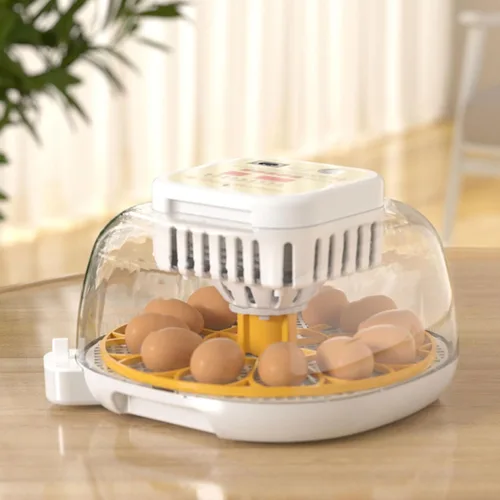 Miniatura 3 de Incubadora automática de 12 huevos con control de humedad con girador de huevos, incubadora ventilada para eclosionar huevos de pollo y codorniz, US
