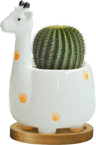 Miniatura 12 de GeLive Maceta de Cerámica para Suculentas de Pájaro Blanco, Maceta para Plantas de Animales, Florero, Caja de Alféizar de Ventana para Bonsái