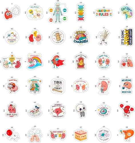 Miniatura 3 de 100 Piezas Calcomanías de Anatomía - Calcomanías de Fisiología de Doctor Médico para Laptop, Botella de Agua - Calcomanías de Sonografía Radiología
