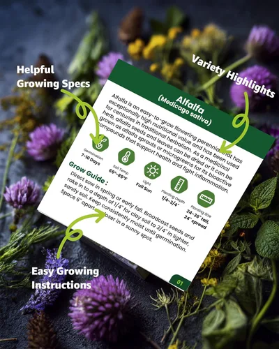 Miniatura 2 de Paquete variado de semillas de hierbas medicinales – 36 semillas de jardín de té de hierbas no transgénicas: manzanilla, lavanda, equinácea