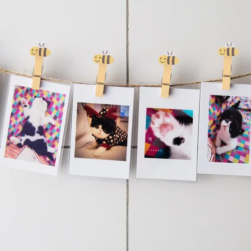 Miniatura 6 de ABOOFAN 30 pinzas para la ropa con cuerda de madera con clips de fotos de abeja para colgar fotos, ropa, manualidades, artes al aire libre e