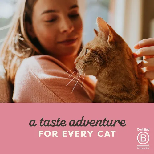 Miniatura 7 de Applaws Alimento húmedo natural para gatos, hecho con ingredientes limitados y naturales, alto en proteínas sin aditivos ni rellenos artificiales