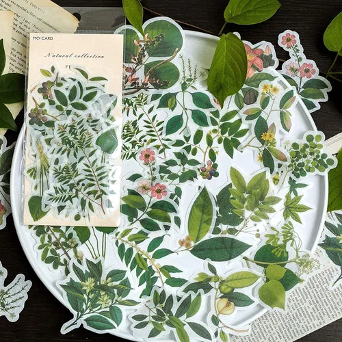 Doraking - Juego de 60 calcomanías decorativas para álbumes de recortes, diseño de plantas verdes para laptop, álbumes de recortes, cuaderno,