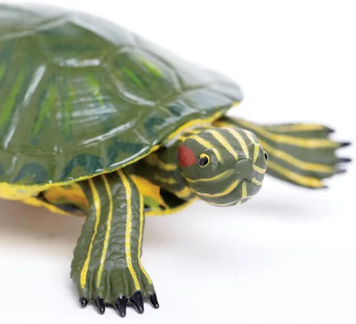 Miniatura 2 de Increíble criatura tortuga deslizante de orejas rojas