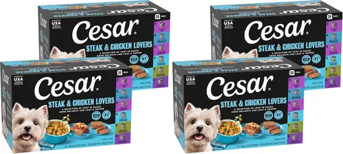 Miniatura 15 de Cesar - Comida húmeda para perros amantes de los filetes, para adultos, comida húmeda para perros con carne real, bandejas de 3.5 onzas fáciles