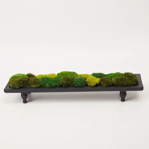 Moss No Bowl Paquete de Mezcla de 4 Colores Musgo de Poste Preservado Cojín Almohadilla Bollo Cojín Natural Decorativo Kit de Bricolaje Arte Pared