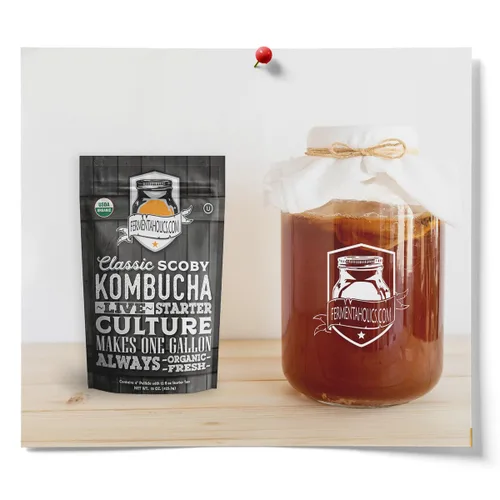 Miniatura 5 de Fermentaholics Kombucha SCOBY ORGÁNICO con doce onzas de té de iniciación – Cultivo de inicio en vivo – hace un lote de un galón – 1.5 tazas de té