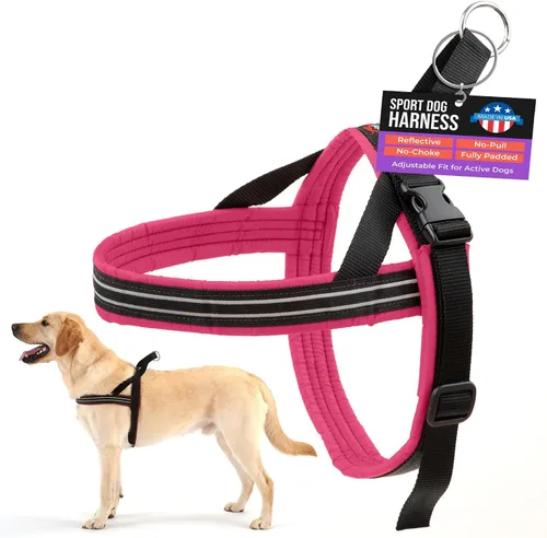Miniatura 22 de Arnés de deportes ComfortFlex de PetPDC, m, Rosado Neón Rosa encendido