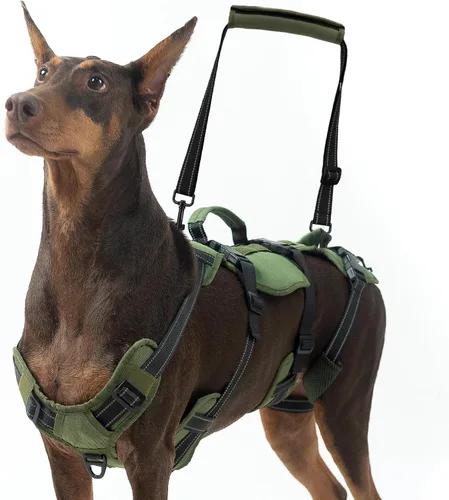 Miniatura 10 de BINGPET Arnés de elevación para perros, cabestrillo de cuerpo completo para perros grandes y medianos con soporte para patas traseras, arnés