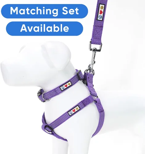 Miniatura 5 de Correa para perro púrpura Pawtitas de 6 pies M/L reflectante, duradera y ligera para perros medianos o grandes y cachorros Purple Reflective