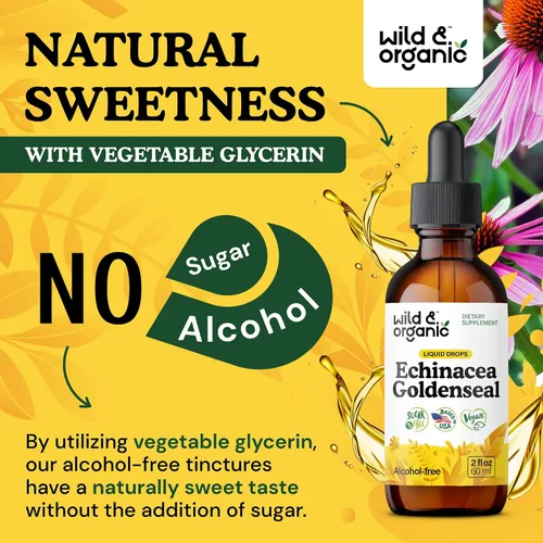 Miniatura 6 de Wild & Organic Echinacea Goldenseal - Suplemento de apoyo inmunológico con extracto de raíz de equinácea de sello dorado, tintura vegana, sin azúcar