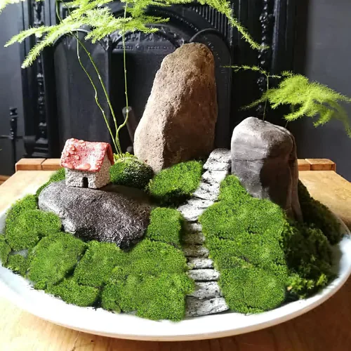 Miniatura 4 de FAICOIA Almohada de musgo preservado a granel verde natural preservado para plantas en maceta, 2.5 pies cuadrados, bolas de musgo verde
