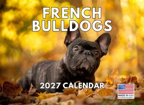 Miniatura 203 de Calendario de pared mensual 2025 Great Dane de 12 meses, fabricado en Estados Unidos