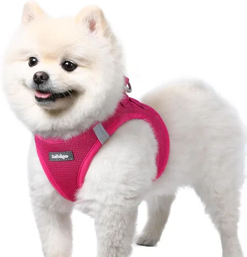 Miniatura 94 de rabbitgoo Arnés para perro pequeño, chaleco de malla suave para cachorros con hebilla de seguridad, arnés reflectante transpirable para mascotas