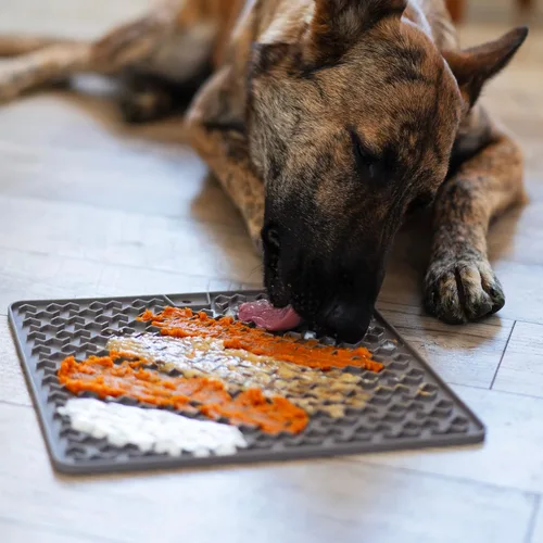 Miniatura 3 de Messy Mutts Alfombrilla interactiva terapéutica de silicona para alimentación y lamer 12 x 12 pulgadas Alimentador lento para aburrimiento