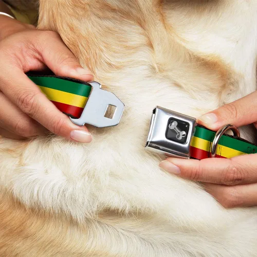 Miniatura 8 de Buckle-Down Collar de perro con hebilla para cinturón de seguridad, 1 pulgada de ancho, se adapta a cuello de 9 a 15 pulgadas, pequeño