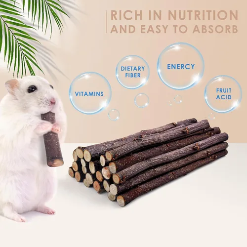 Miniatura 2 de Bissap Palitos de manzana para conejos, juguetes naturales para masticar conejitos y golosinas para Chinchilla, conejillo de indias, hámster, jerbo