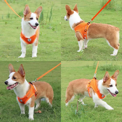 Miniatura 23 de Juego de arnés y correa para perros pequeños, arnés reflectante ajustable sin tirones, arnés transpirable suave para cachorros y perros pequeños