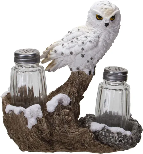 Pacific Giftware Juego de salero y pimentero de cristal decorativo espiritual realista con soporte de resina Búho nevado