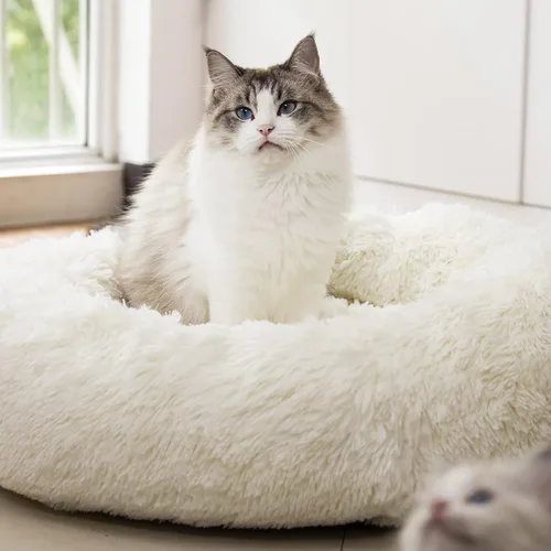 Miniatura 9 de Cama Redonda Anti-Ansiedad de Felpa Sintética Mullida Cálida y Lavable para Perros y Gatos, Cama Original para Mascotas Pequeñas, Medianas y Verde